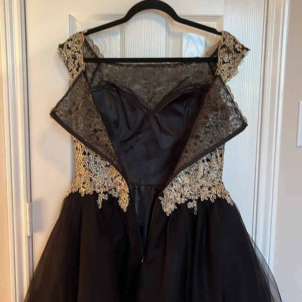NWT Lenovia Off the shoulder Appliqué Tulle Dress - Picture 9 of 15